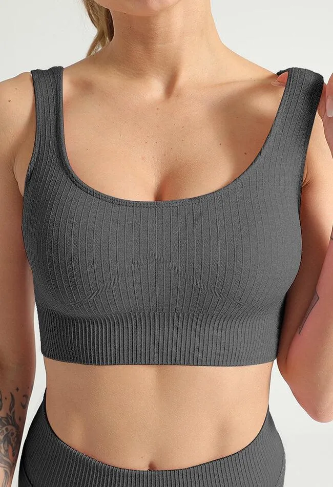 Basic Comfort Ribbed Seamless Sports Bra - The Elite