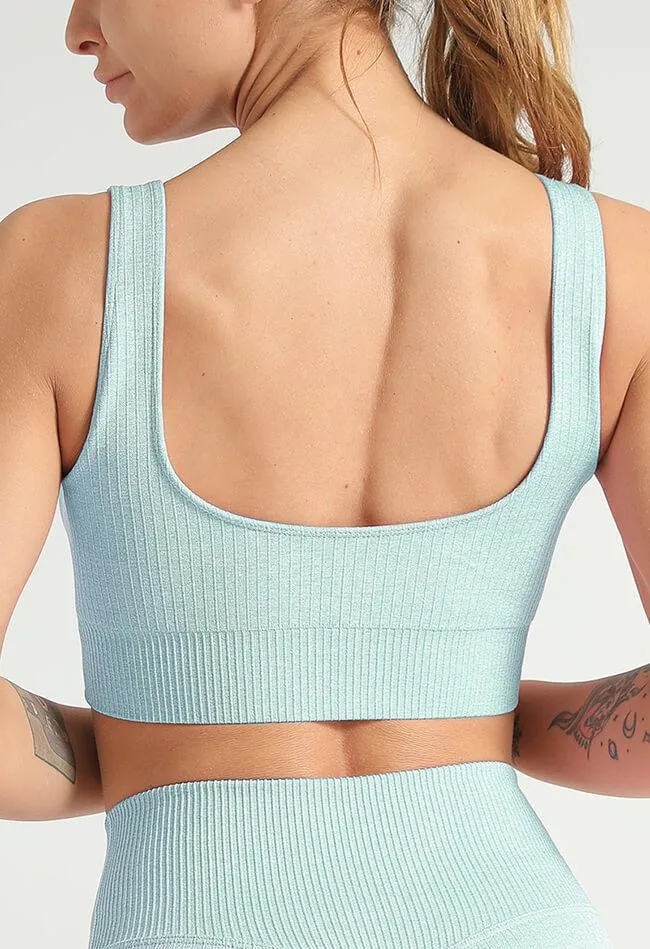 Basic Comfort Ribbed Seamless Sports Bra - The Elite