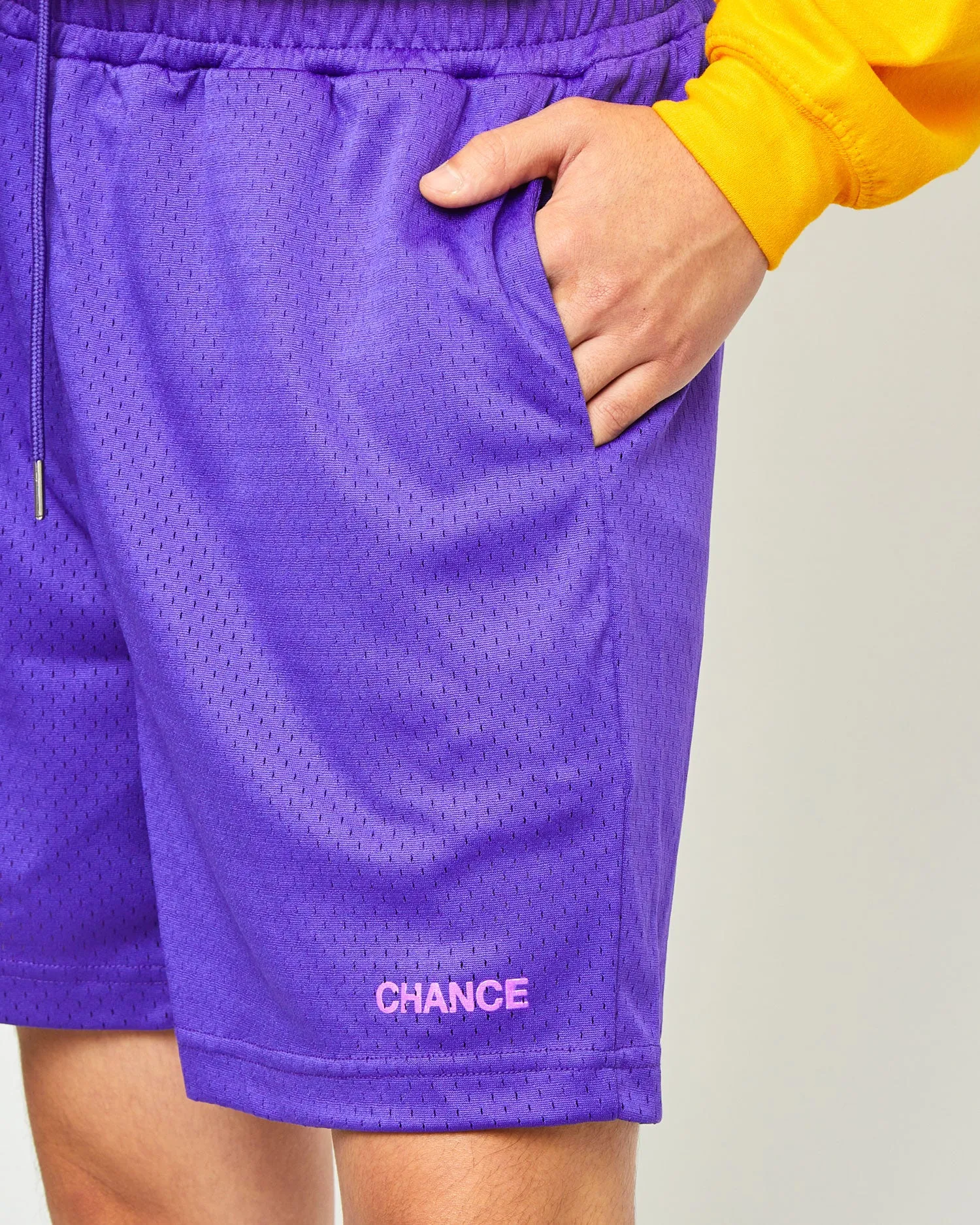 Mesh Shorts - Purple